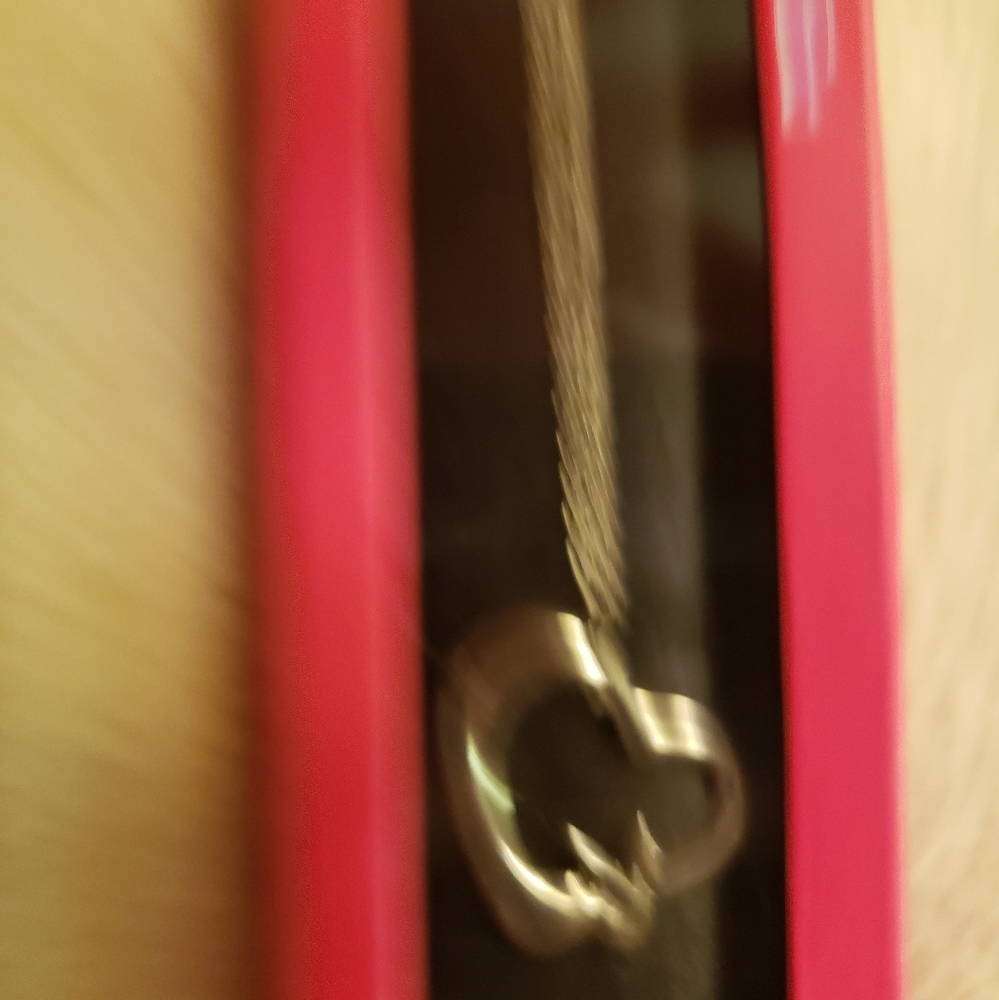 Playboy Heart Necklace - Picture 3 of 3